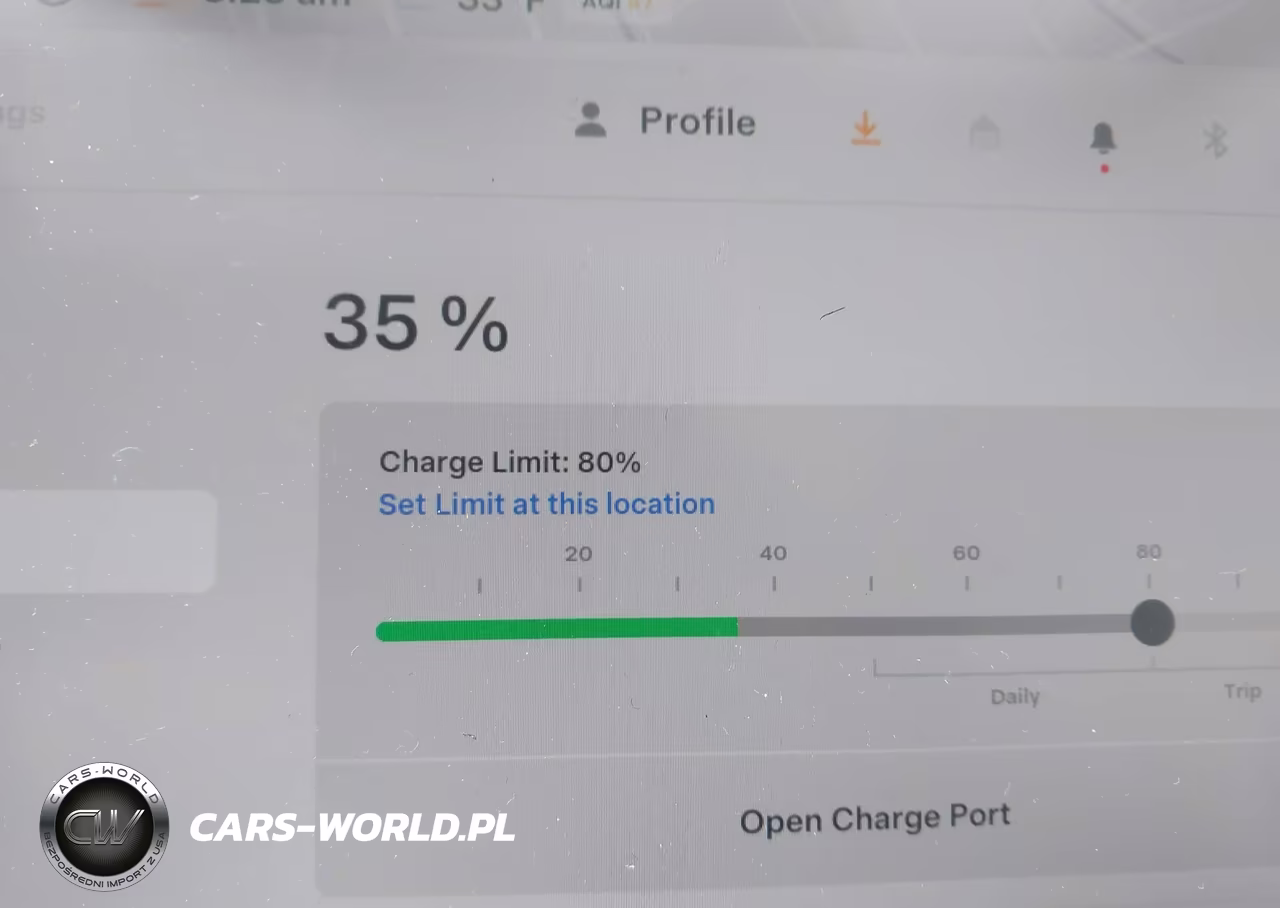 2026 Tesla Model Y All-Wheel Drive-Long Range Launch Series-Premium All-Wheel Drive VIN:7SAYGDEE3TF554040 - 17