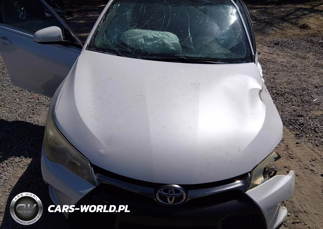 2016 Toyota Camry Se VIN:4T1BF1FK1GU160926 - 10