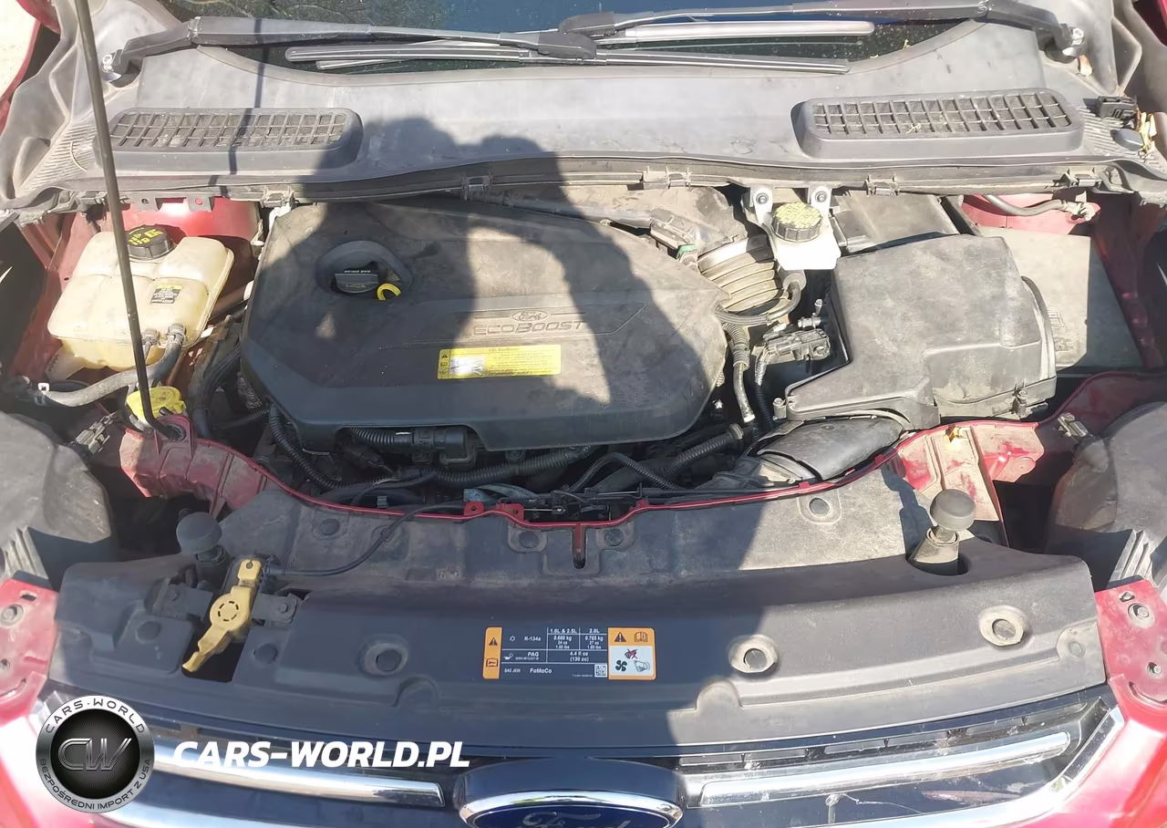 2013 Ford Escape Sel VIN:1FMCU0HX0DUA75200 - 10