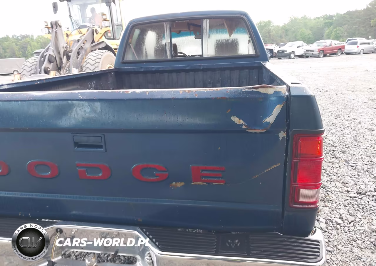 1993 Dodge Dakota VIN:1B7GL23Y7PS102218 - 12