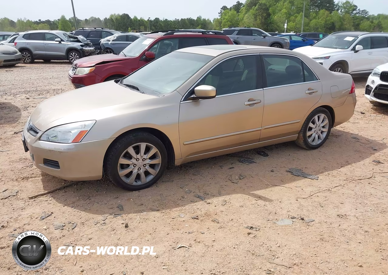 2006 Honda Accord 3.0 Ex VIN:1HGCM66566A003688 - 2