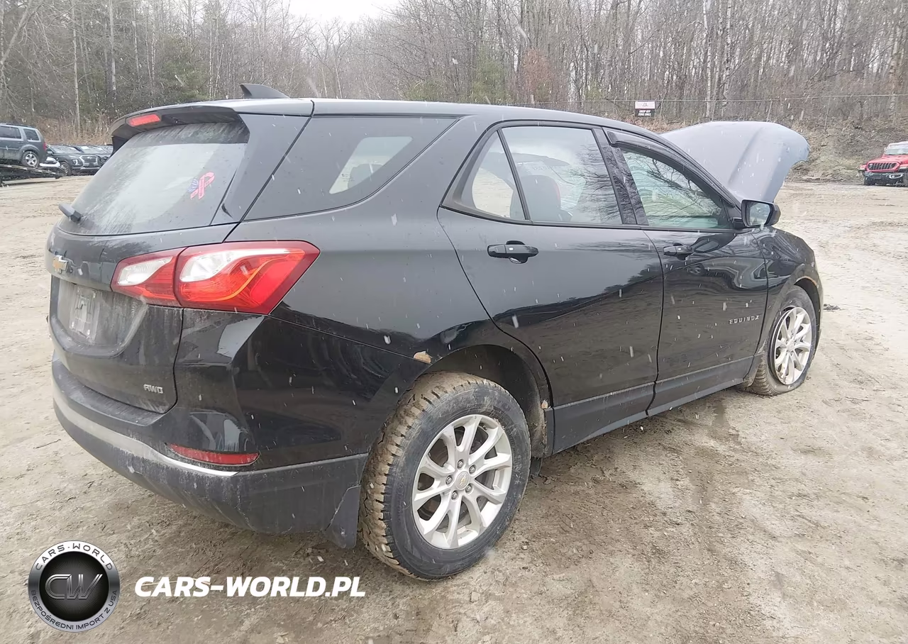 2018 Chevrolet Equinox Ls VIN:2GNAXREV7J6172017 - 4