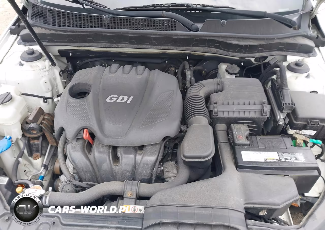 2015 Kia Optima Lx VIN:KNAGM4A79F5649603 - 10