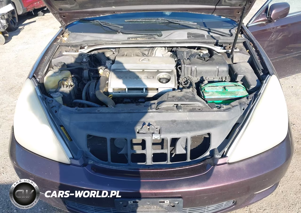 2004 Lexus Es 330 VIN:JTHBA30G640002067 - 10