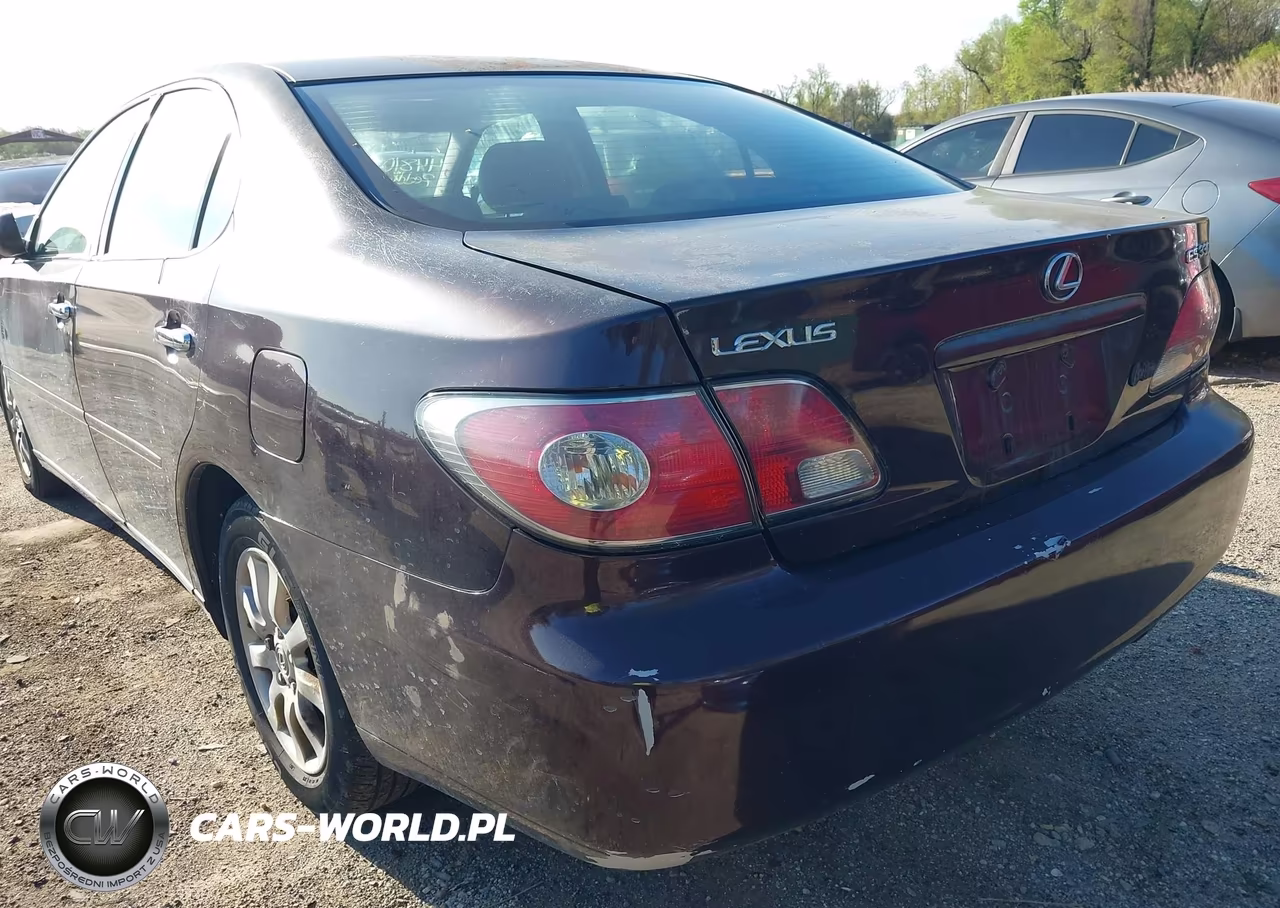 2004 Lexus Es 330 VIN:JTHBA30G640002067 - 13