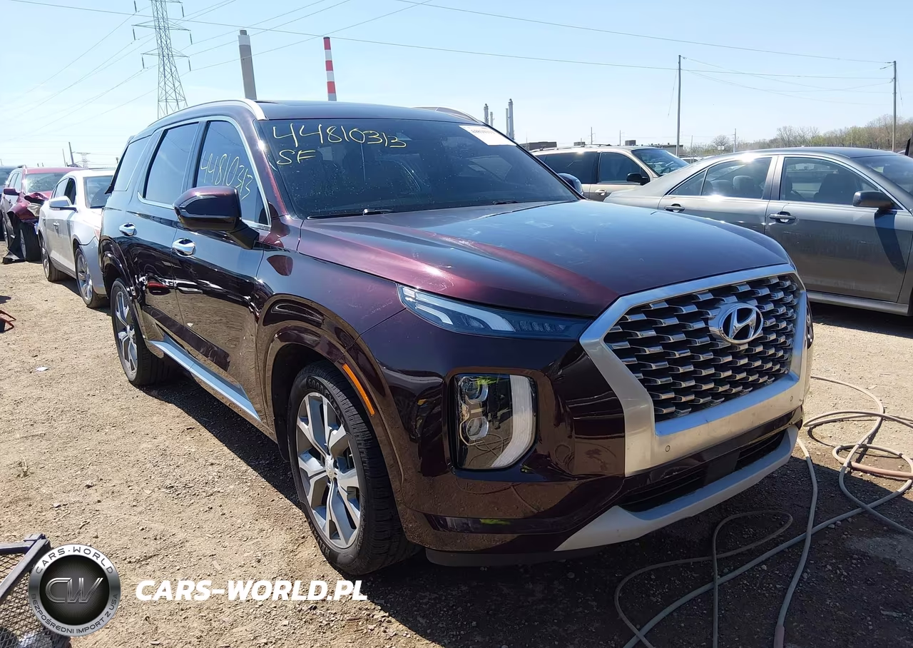 2021 Hyundai Palisade Limited VIN:KM8R5DHE7MU313573 - 1