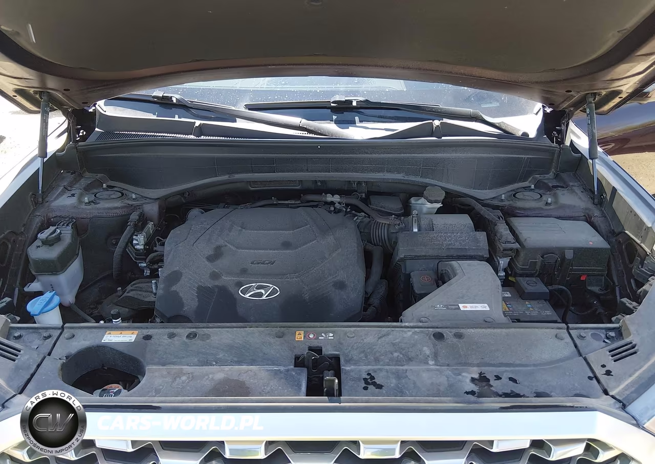 2021 Hyundai Palisade Limited VIN:KM8R5DHE7MU313573 - 10