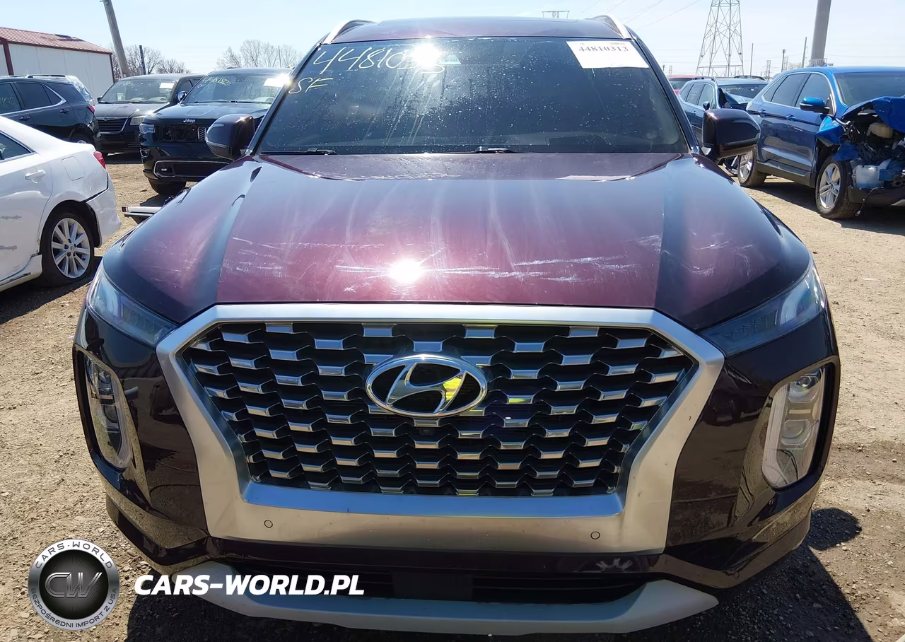 2021 Hyundai Palisade Limited VIN:KM8R5DHE7MU313573 - 13