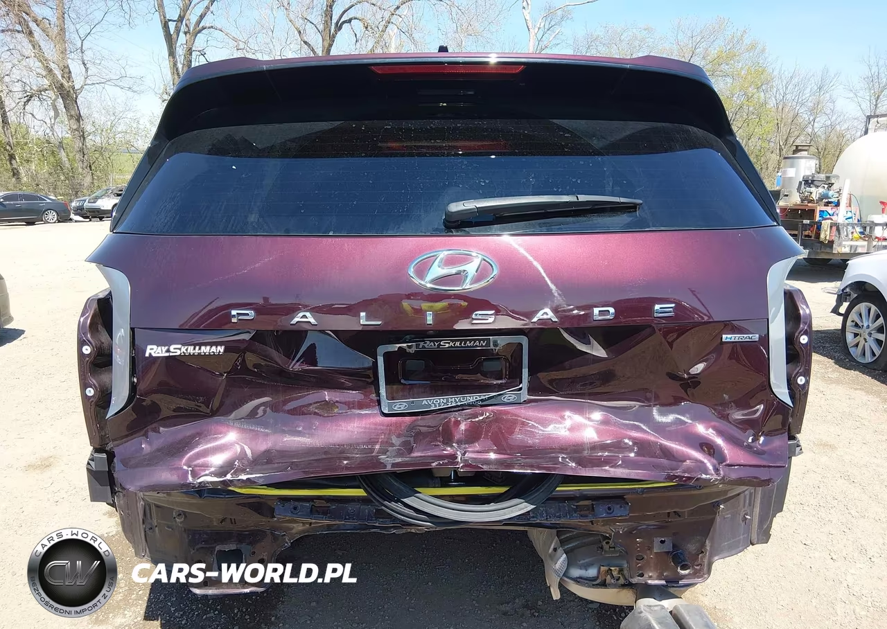 2021 Hyundai Palisade Limited VIN:KM8R5DHE7MU313573 - 17