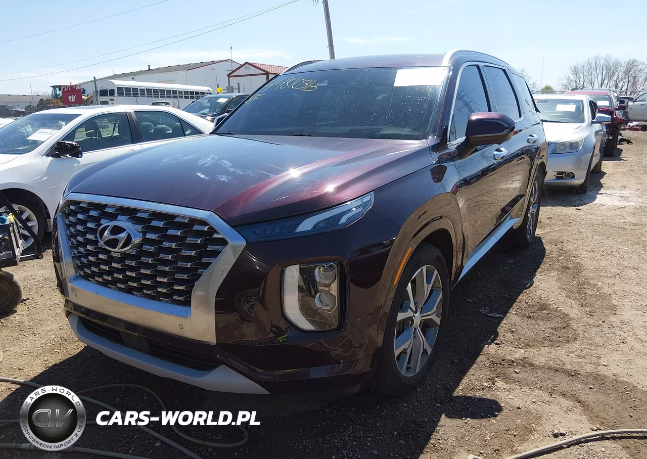 2021 Hyundai Palisade Limited VIN:KM8R5DHE7MU313573 - 2