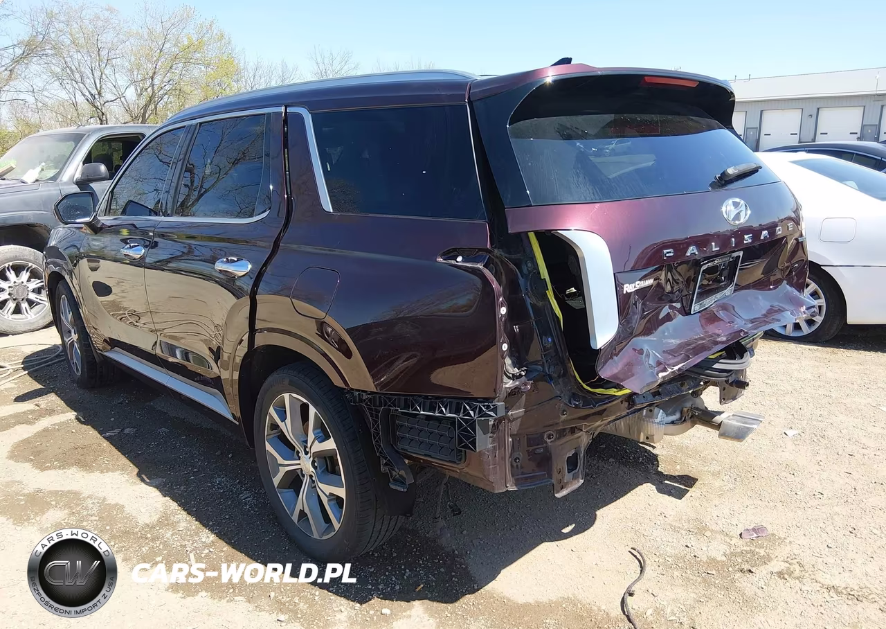 2021 Hyundai Palisade Limited VIN:KM8R5DHE7MU313573 - 3