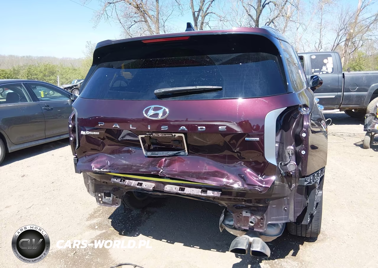 2021 Hyundai Palisade Limited VIN:KM8R5DHE7MU313573 - 6