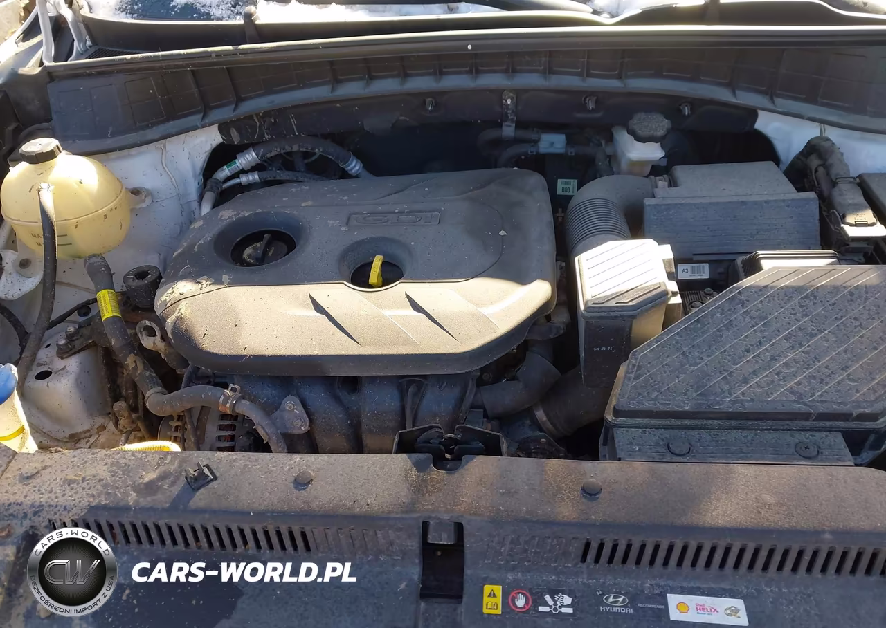 2019 Hyundai Tucson Se VIN:KM8J2CA47KU837367 - 10