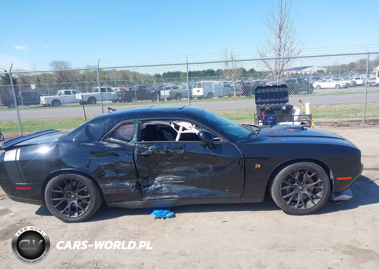 2017 Dodge Challenger 392 Hemi Scat Pack Shaker VIN:2C3CDZFJ6HH617372 - 13