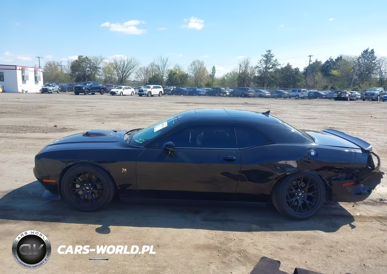 2017 Dodge Challenger 392 Hemi Scat Pack Shaker VIN:2C3CDZFJ6HH617372 - 14