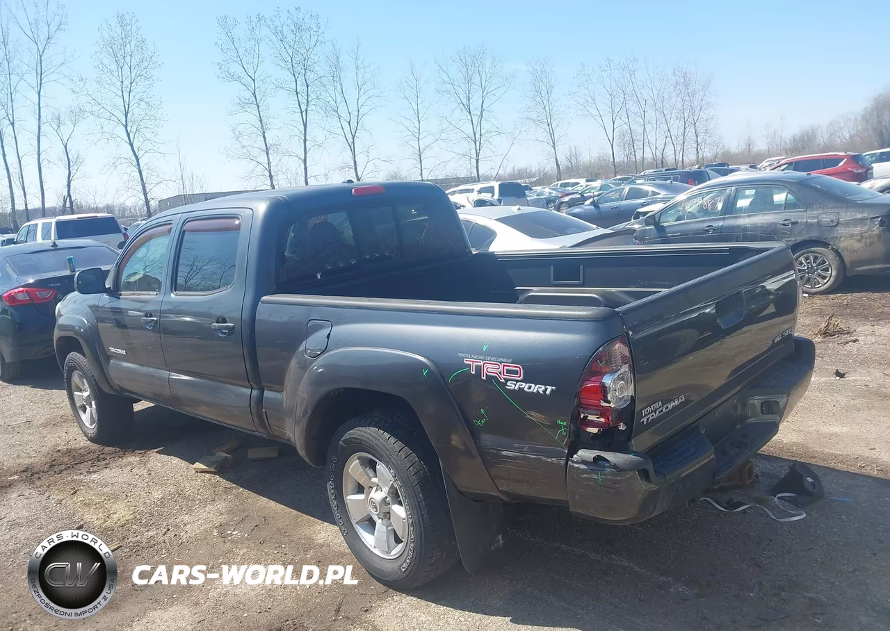 2009 Toyota Tacoma Base V6 VIN:3TMMU52N69M015138 - 3