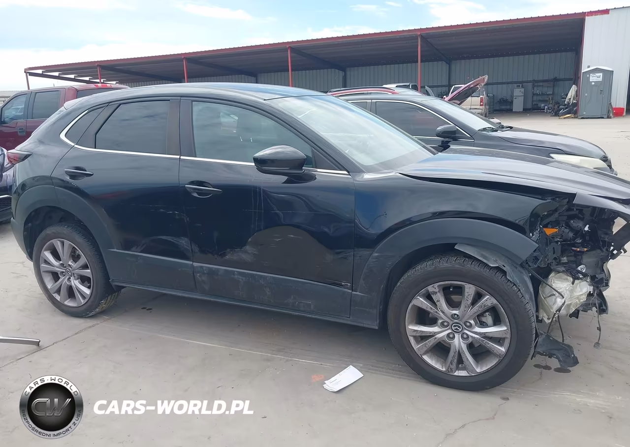2021 Mazda Cx-30 Select VIN:3MVDMBBL9MM243994 - 13