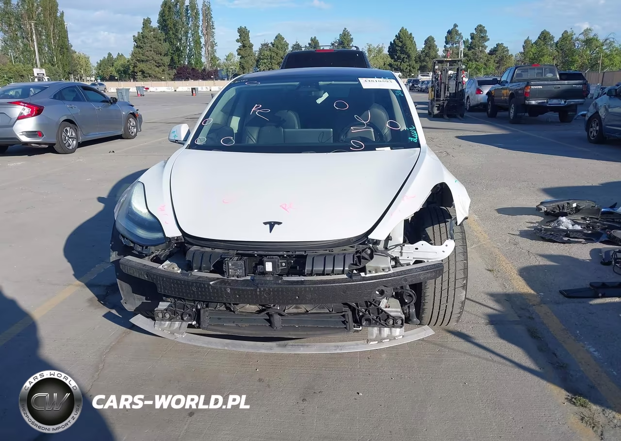 2019 Tesla Model 3 Long Range-Mid Range-Standard Range-Standard Range Plus VIN:5YJ3E1EA6KF326587 - 13