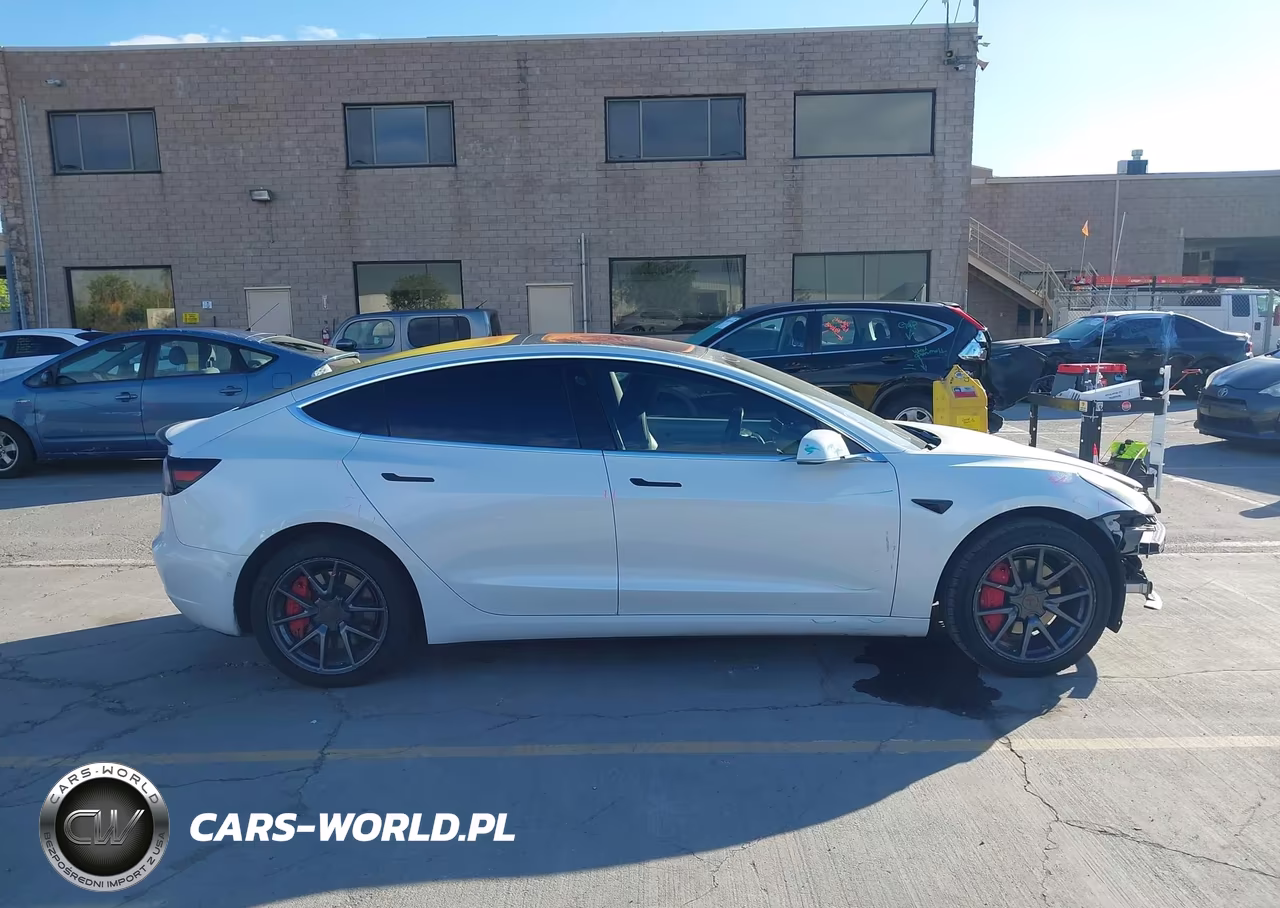 2019 Tesla Model 3 Long Range-Mid Range-Standard Range-Standard Range Plus VIN:5YJ3E1EA6KF326587 - 14