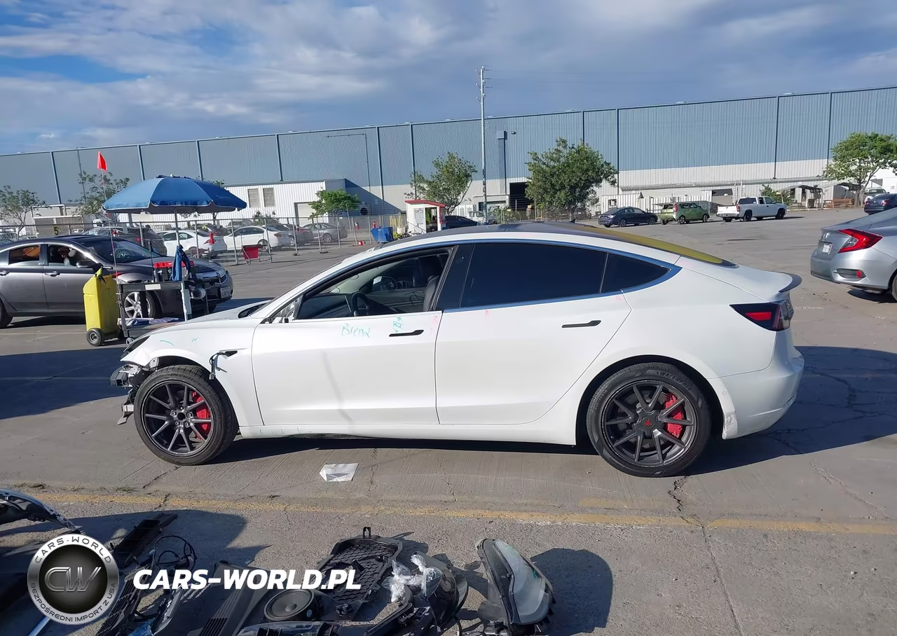 2019 Tesla Model 3 Long Range-Mid Range-Standard Range-Standard Range Plus VIN:5YJ3E1EA6KF326587 - 15