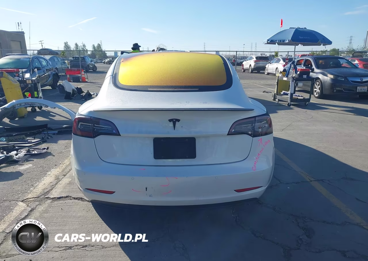 2019 Tesla Model 3 Long Range-Mid Range-Standard Range-Standard Range Plus VIN:5YJ3E1EA6KF326587 - 17