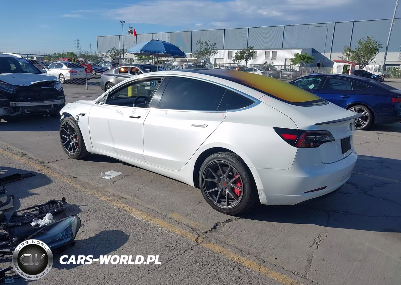 2019 Tesla Model 3 Long Range-Mid Range-Standard Range-Standard Range Plus VIN:5YJ3E1EA6KF326587 - 3