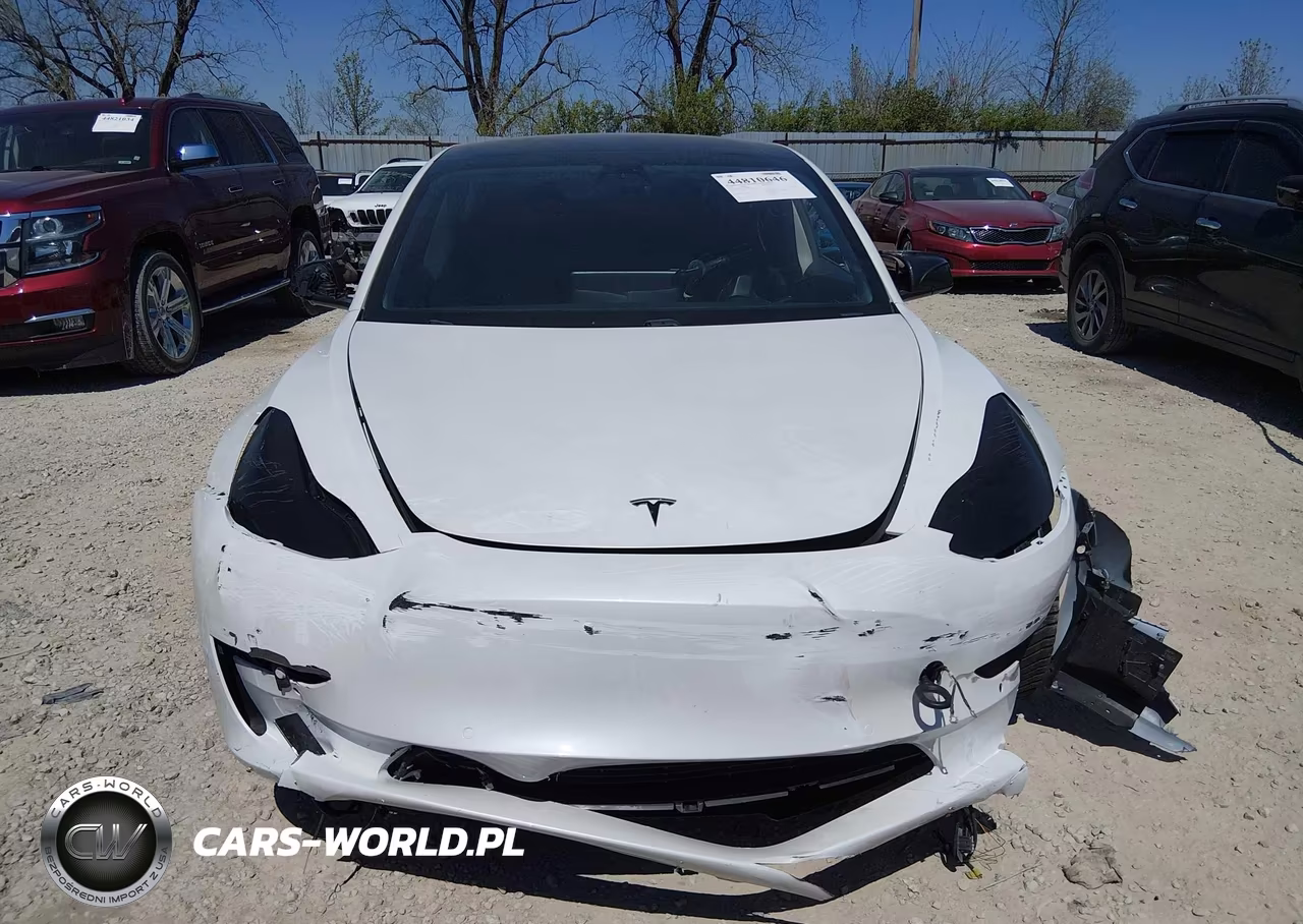 2021 Tesla Model 3 Standard Range Plus Rear-Wheel Drive VIN:5YJ3E1EA1MF986619 - 12