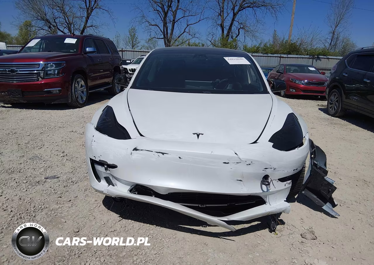 2021 Tesla Model 3 Standard Range Plus Rear-Wheel Drive VIN:5YJ3E1EA1MF986619 - 19