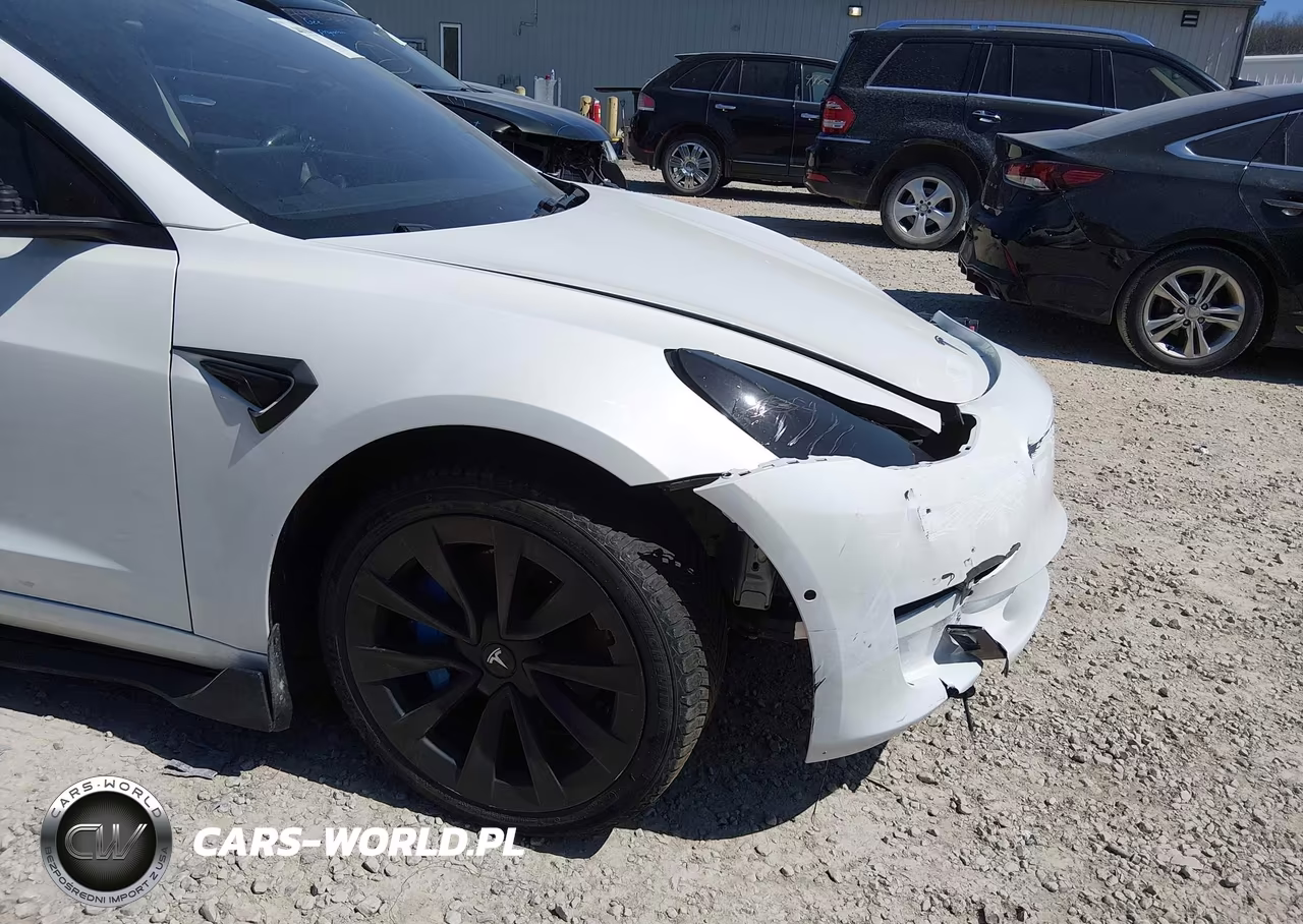2021 Tesla Model 3 Standard Range Plus Rear-Wheel Drive VIN:5YJ3E1EA1MF986619 - 20