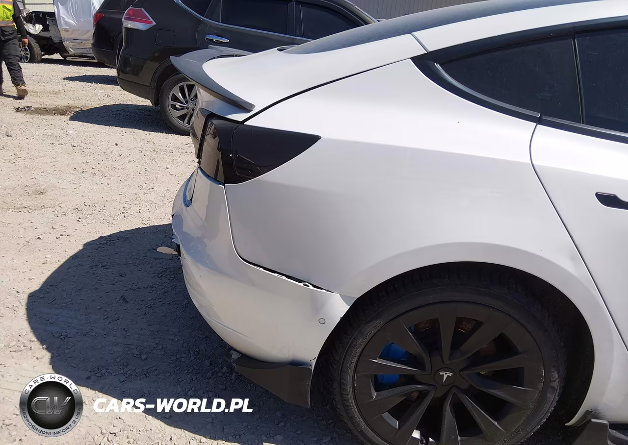 2021 Tesla Model 3 Standard Range Plus Rear-Wheel Drive VIN:5YJ3E1EA1MF986619 - 21