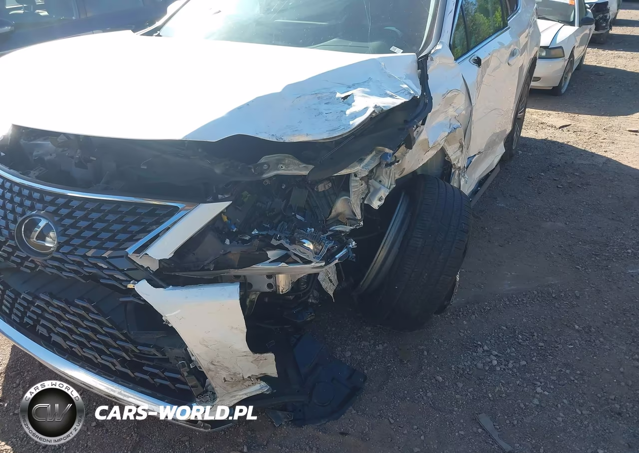 2020 Lexus Rx 350L VIN:JTJHZKEA0L2018252 - 6