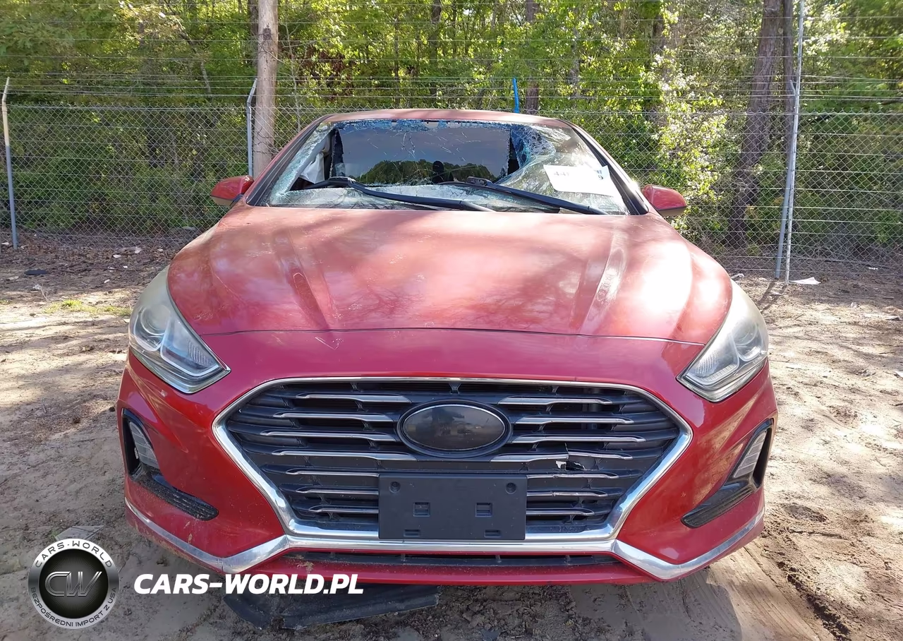 2019 Hyundai Sonata Se VIN:5NPE24AF8KH765439 - 12