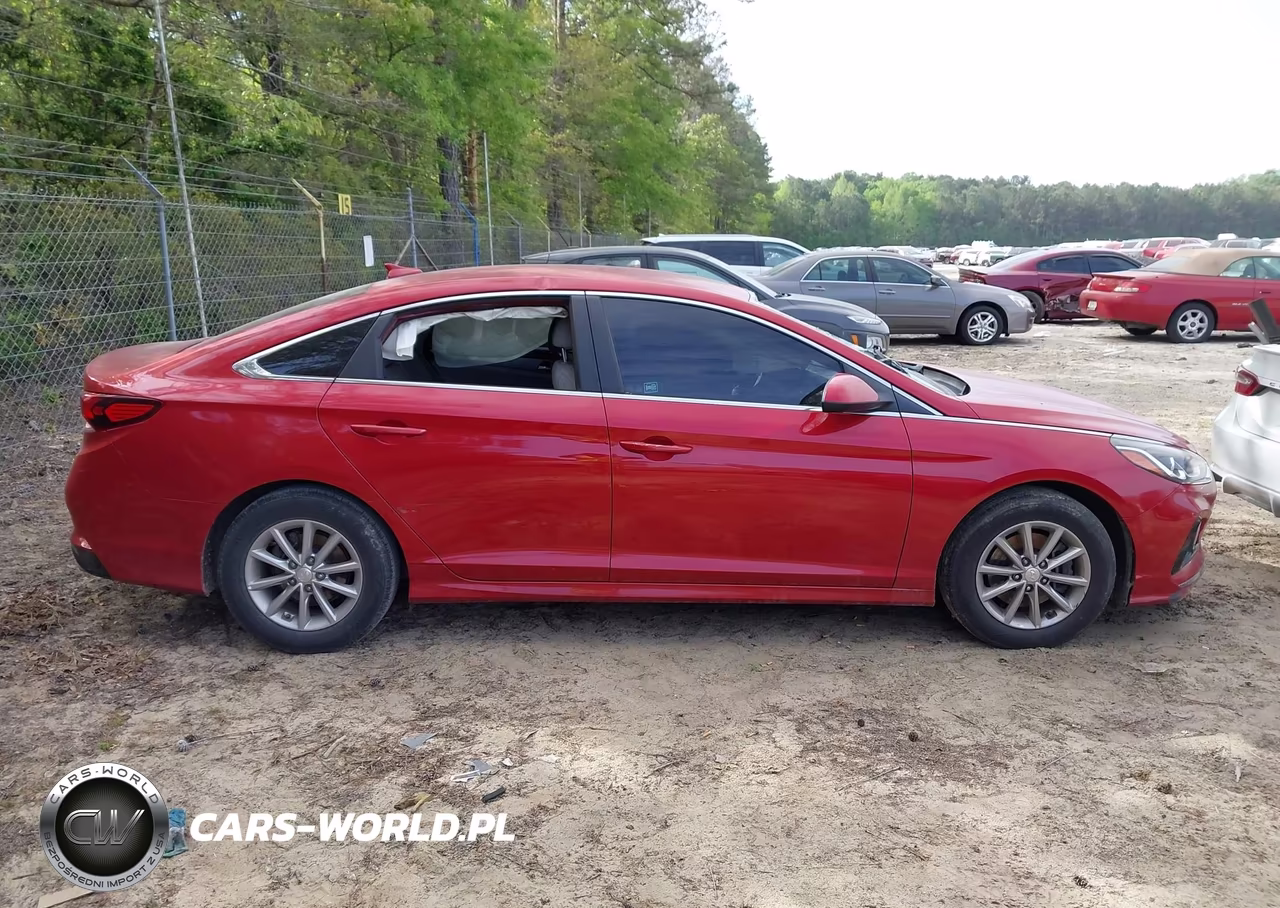 2019 Hyundai Sonata Se VIN:5NPE24AF8KH765439 - 13