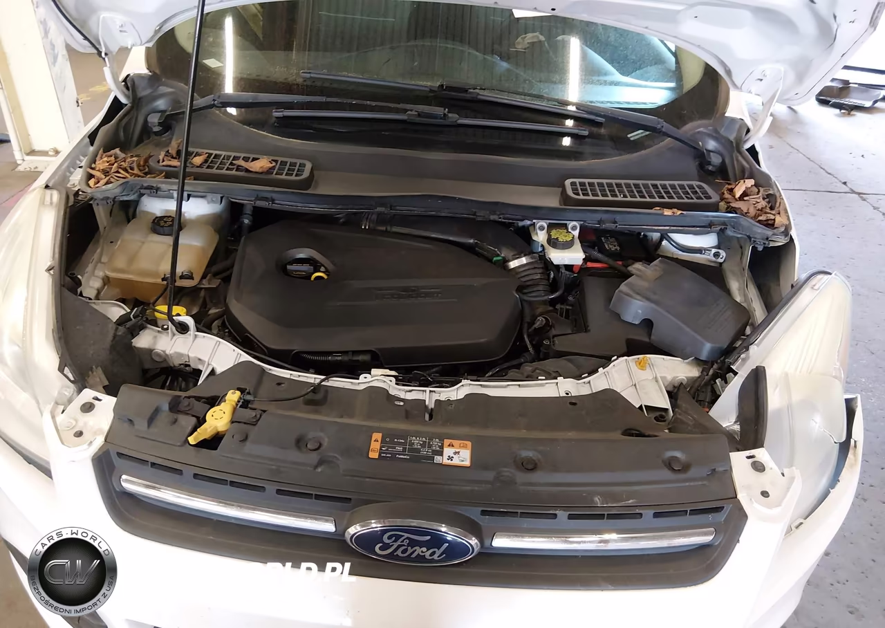 2015 Ford Escape Se VIN:1FMCU9GX7FUA01409 - 10