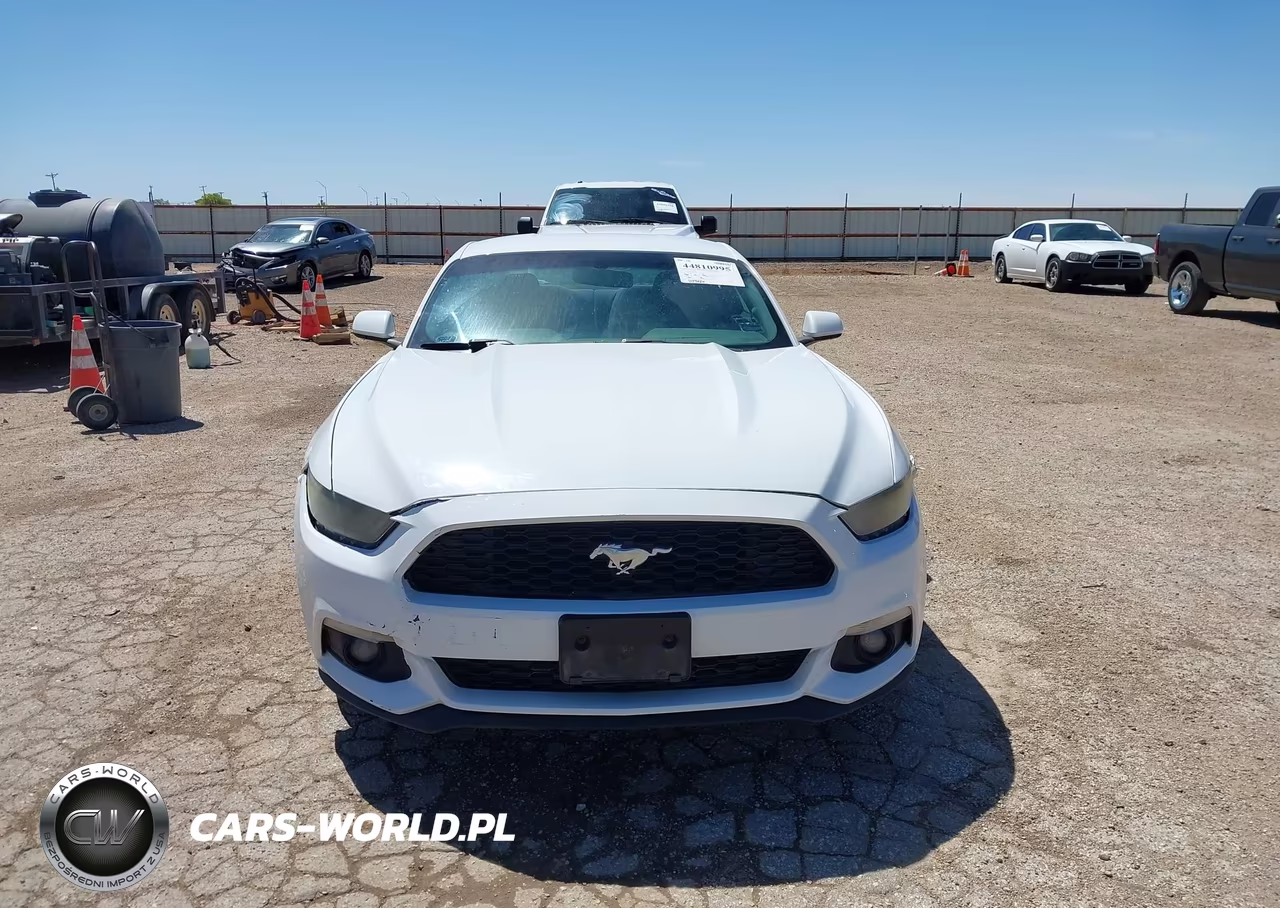 2016 Ford Mustang Ecoboost VIN:1FA6P8TH5G5246230 - 12