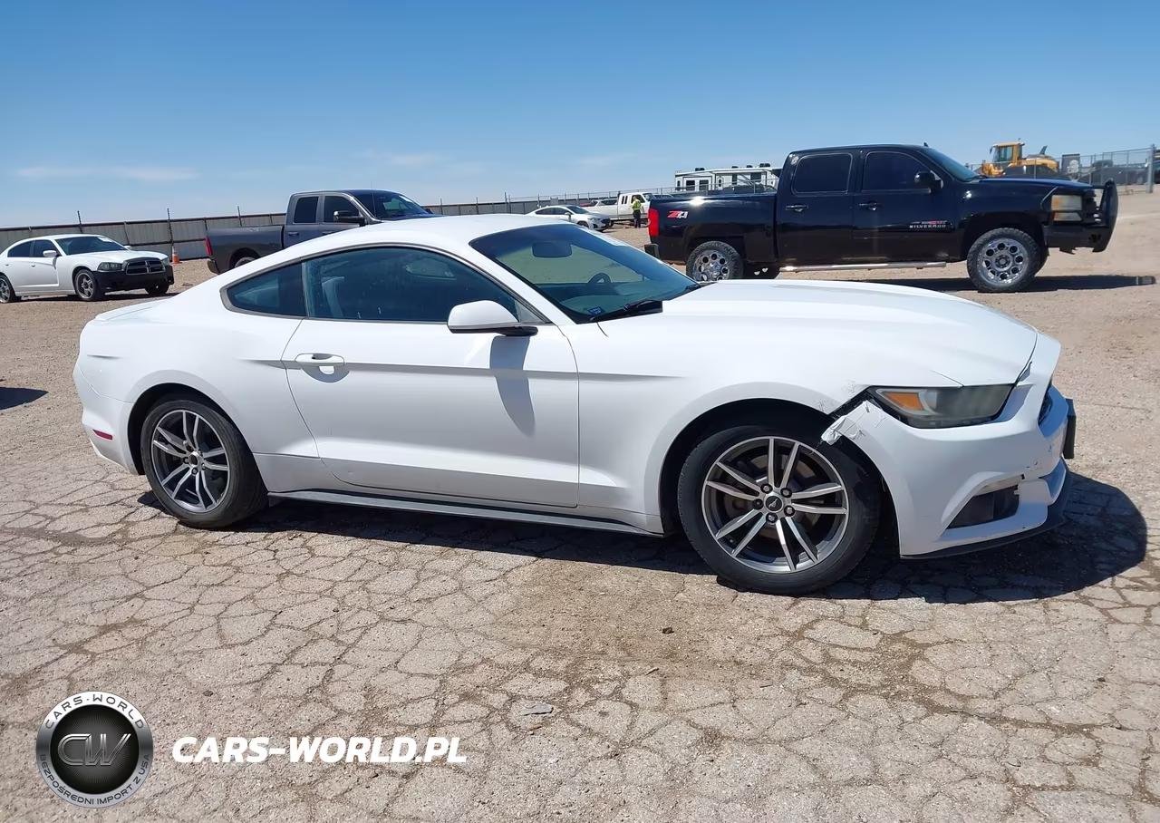 2016 Ford Mustang Ecoboost VIN:1FA6P8TH5G5246230 - 13