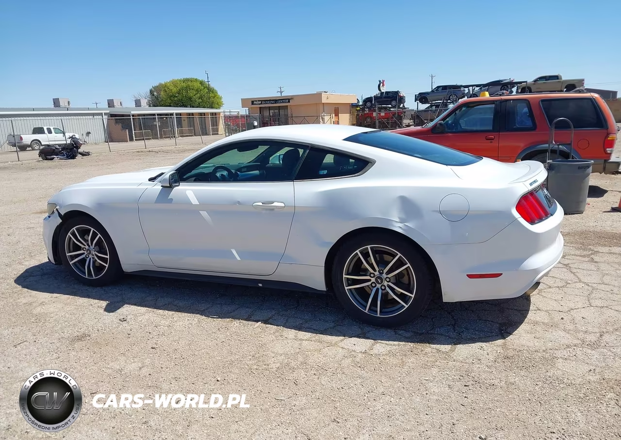 2016 Ford Mustang Ecoboost VIN:1FA6P8TH5G5246230 - 14