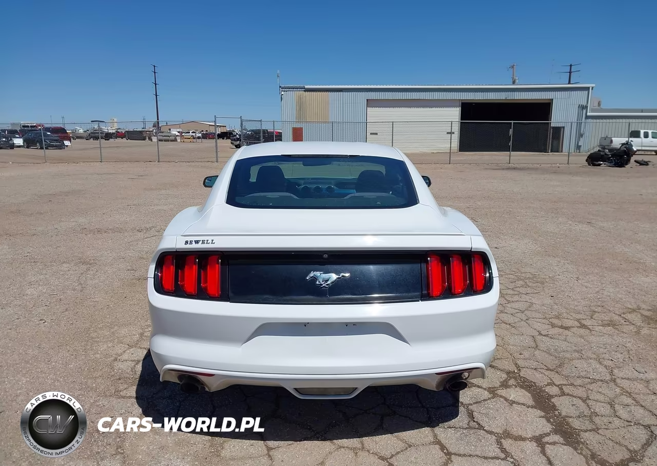 2016 Ford Mustang Ecoboost VIN:1FA6P8TH5G5246230 - 16