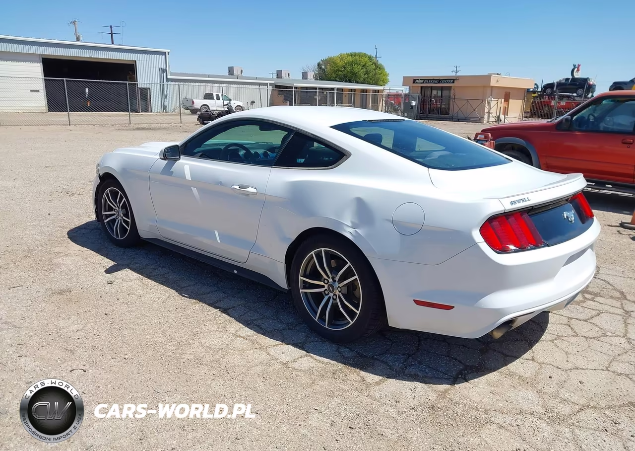 2016 Ford Mustang Ecoboost VIN:1FA6P8TH5G5246230 - 3