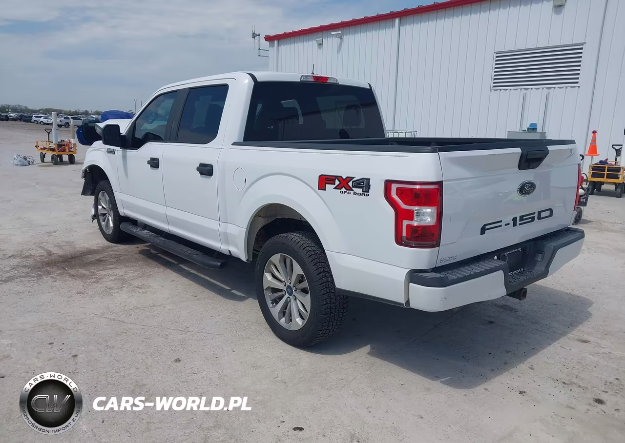 FORD F150 SUPER VIN:1FTEW1E59JKD04318 - 3