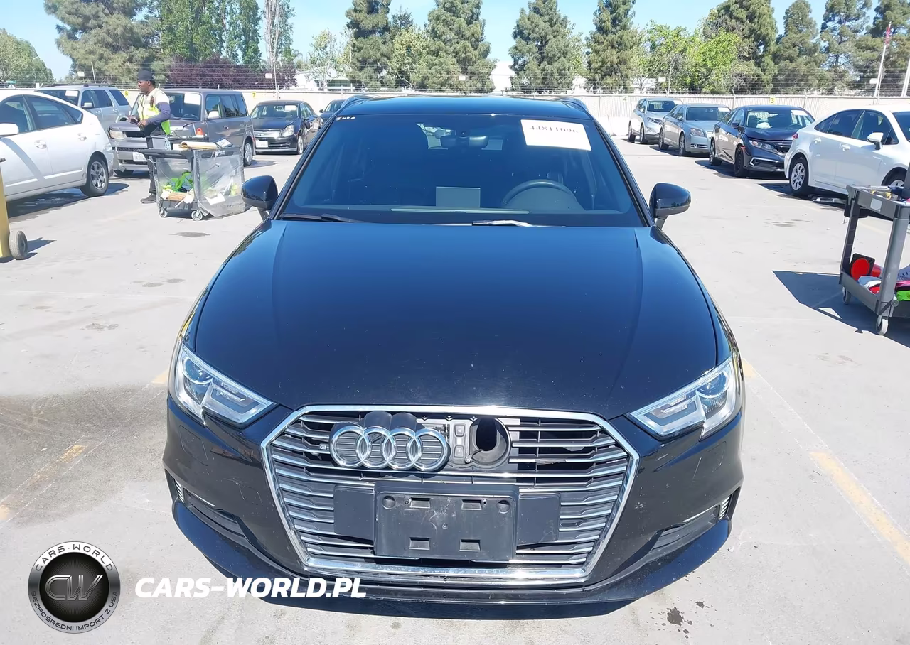 2018 Audi A3 E-Tron 1.4T Premium-1.4T Tech Premium VIN:WAUUPBFFXJA084633 - 12