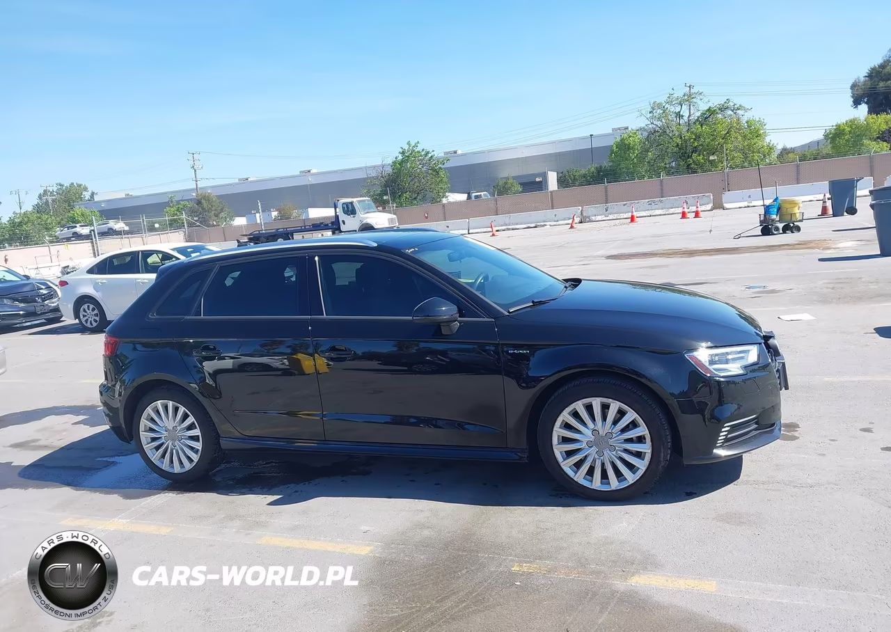 2018 Audi A3 E-Tron 1.4T Premium-1.4T Tech Premium VIN:WAUUPBFFXJA084633 - 13