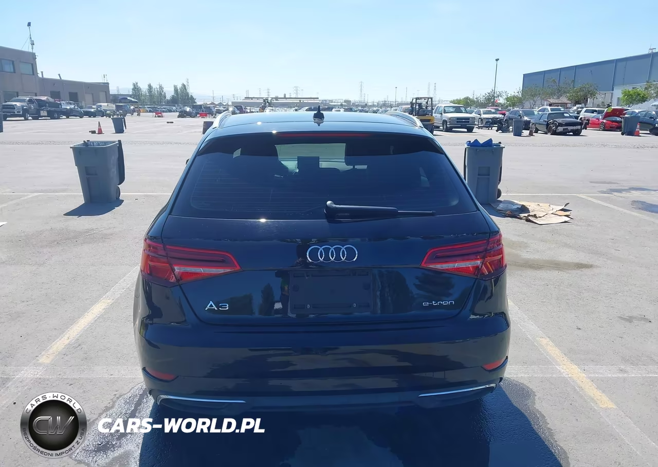 2018 Audi A3 E-Tron 1.4T Premium-1.4T Tech Premium VIN:WAUUPBFFXJA084633 - 16