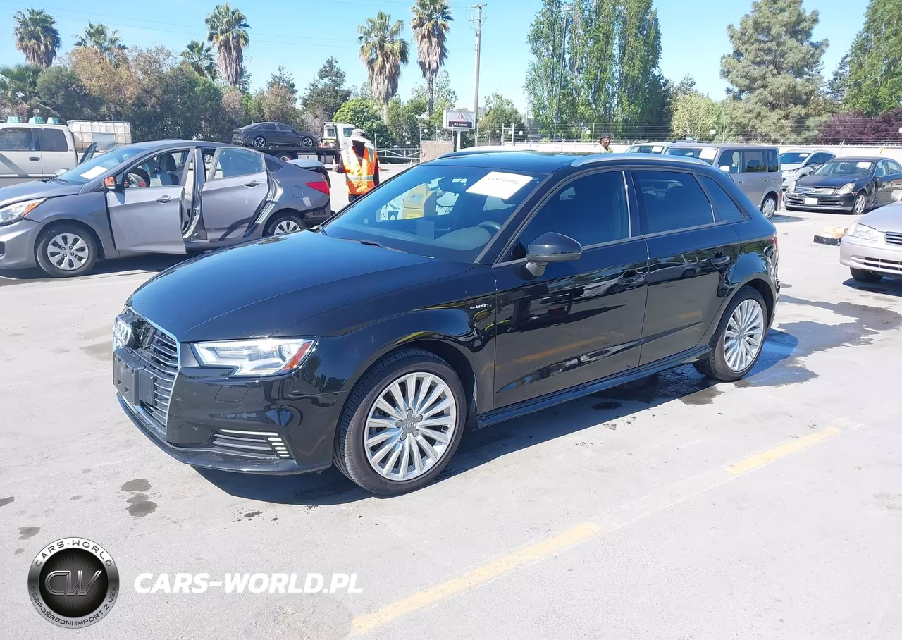2018 Audi A3 E-Tron 1.4T Premium-1.4T Tech Premium VIN:WAUUPBFFXJA084633 - 2