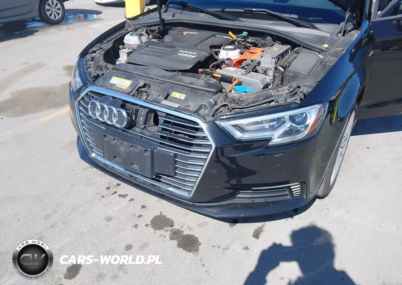 2018 Audi A3 E-Tron 1.4T Premium-1.4T Tech Premium VIN:WAUUPBFFXJA084633 - 6