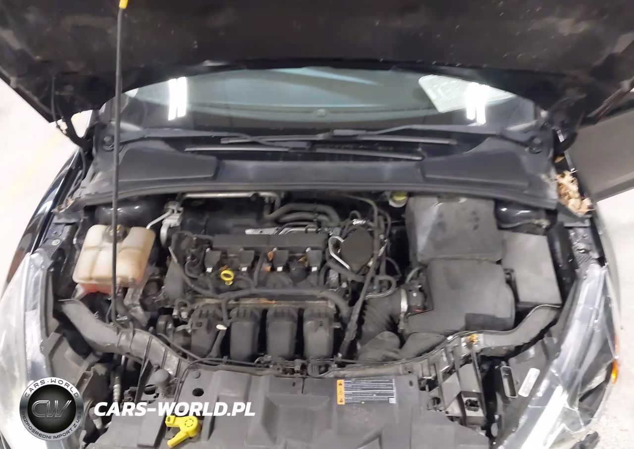 2016 Ford Focus Se VIN:1FADP3F27GL212125 - 10