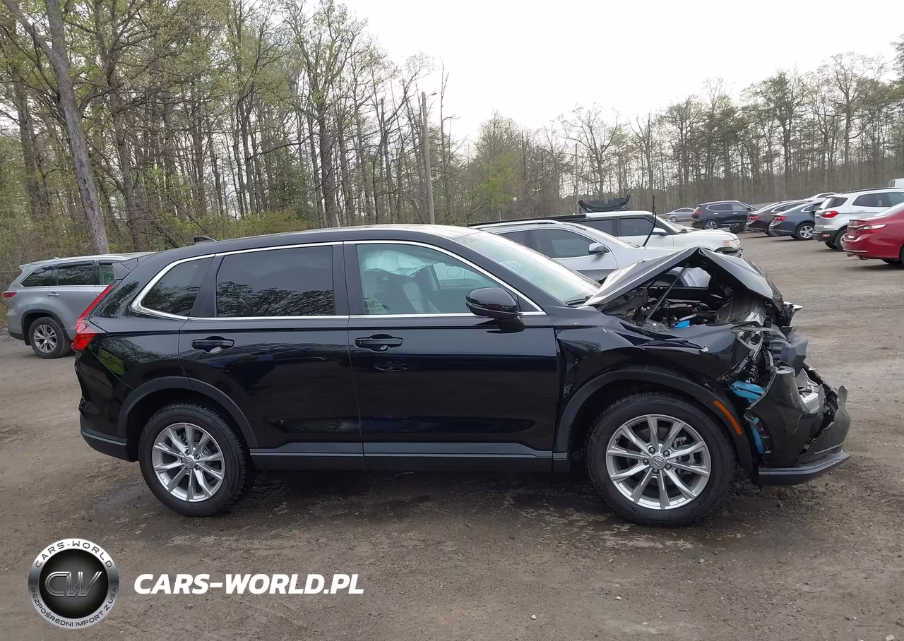 2024 Honda Cr-V Ex Awd VIN:2HKRS4H43RH445753 - 13