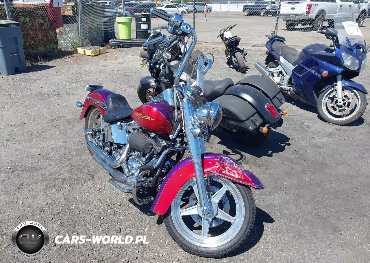 2006 Harley-Davidson Flstni