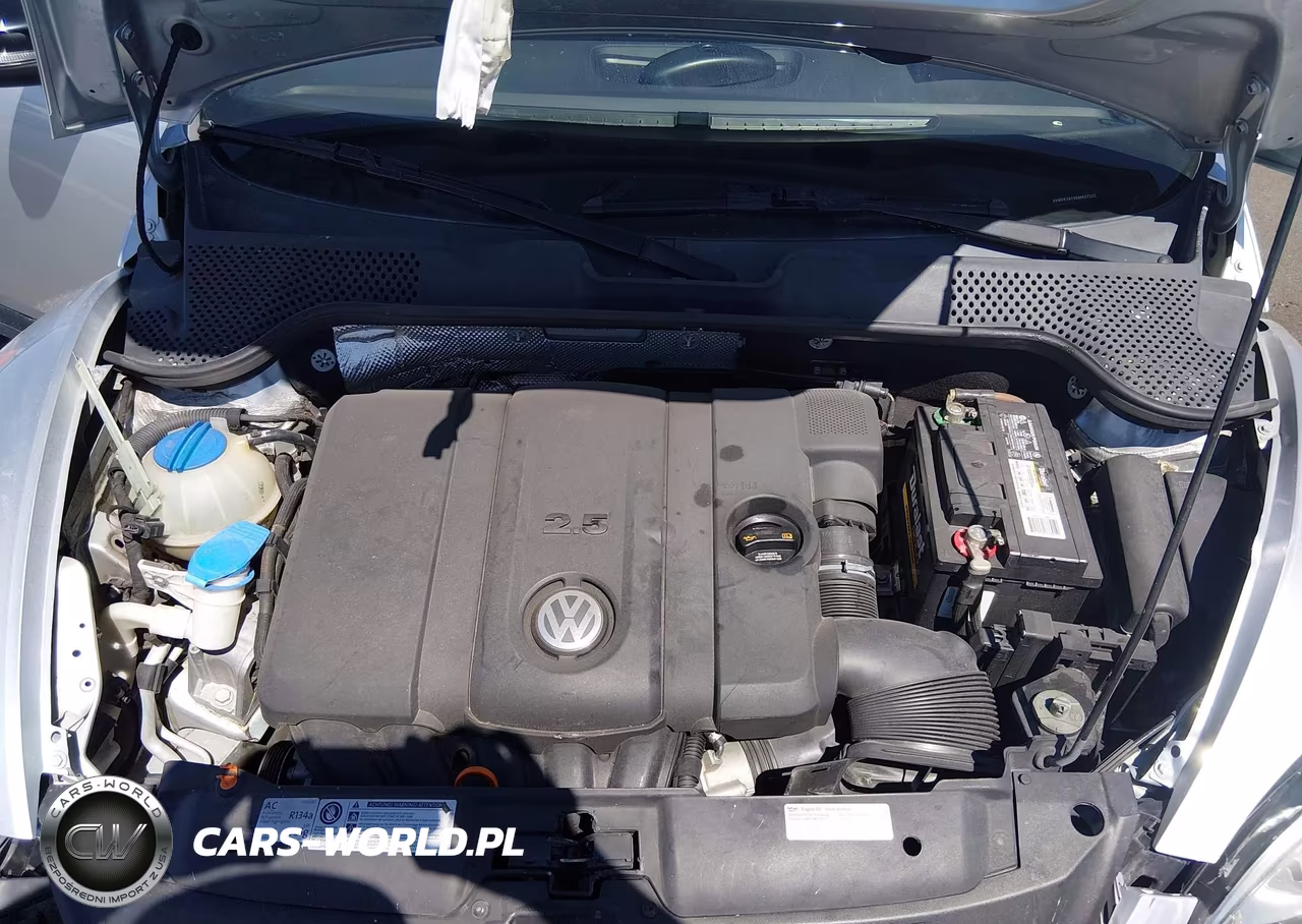 2013 Volkswagen Beetle 2.5L Entry VIN:3VWFP7AT5DM637232 - 10