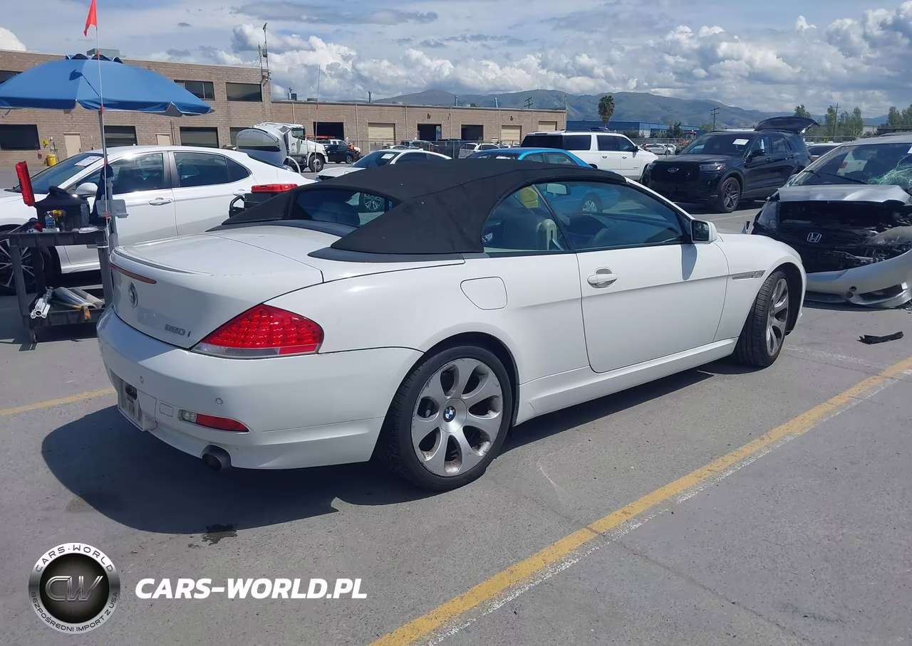 2006 BMW 650I VIN:WBAEK13416CN78861 - 4